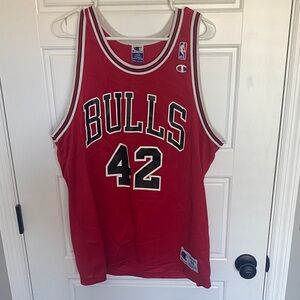 Champion Red Chicago Bulls #42 Brand Basketball Jersey